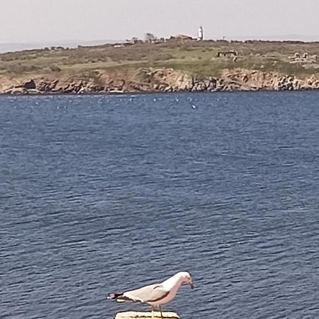 Damaris Hotell Sozopol Eksteriør bilde